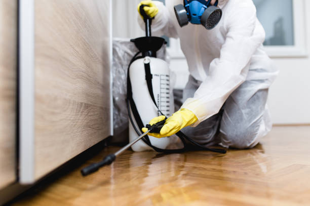 Pest Control for Restaurants in Malden, MA