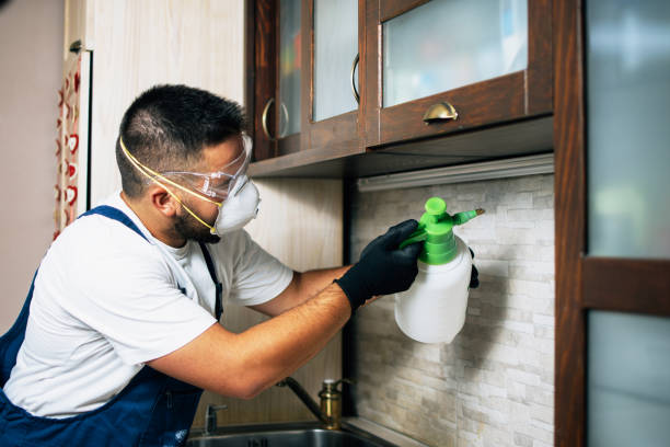 Best Cockroach Control Services  in Lden, MA