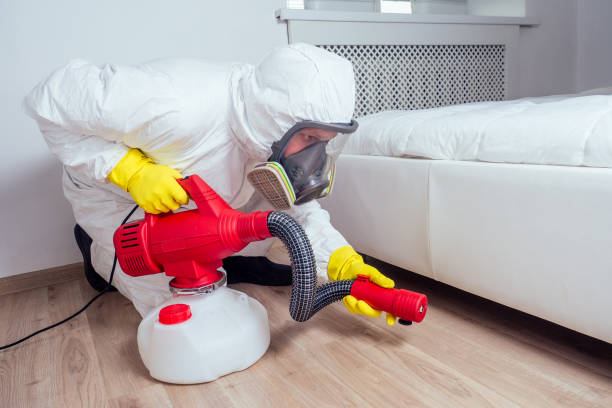 Best Best Pest Control Companies  in Lden, MA