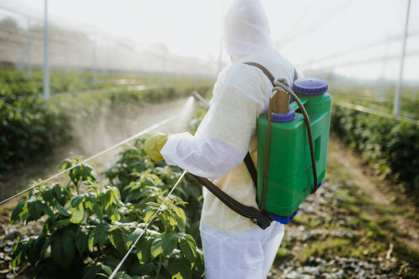 Best Flea Control Services  in Lden, MA